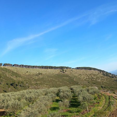 Vila Dean Berat Bagian luar foto