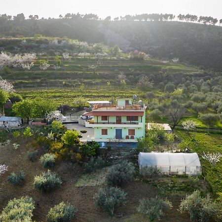 Vila Dean Berat Bagian luar foto