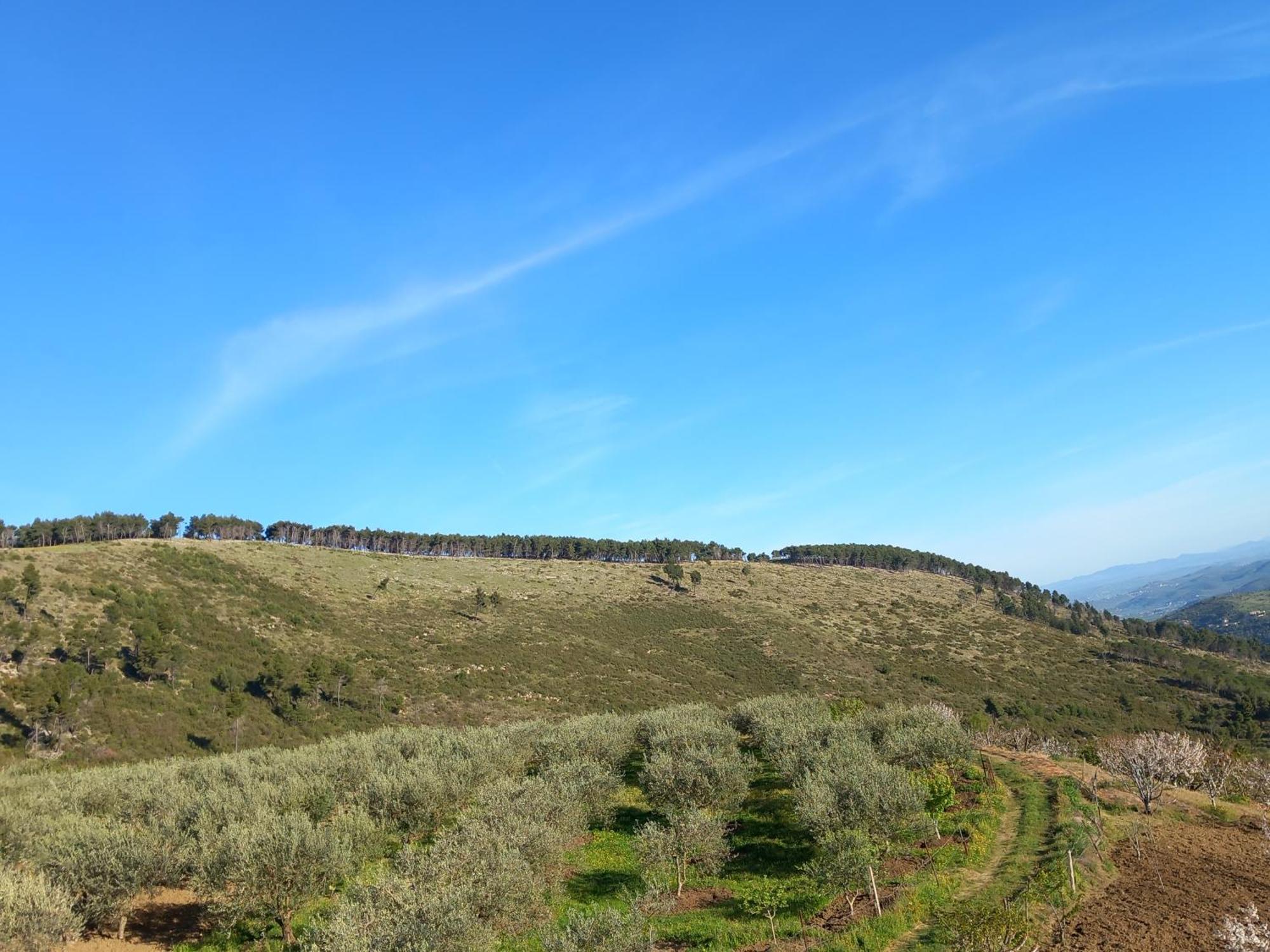 Vila Dean Berat Bagian luar foto