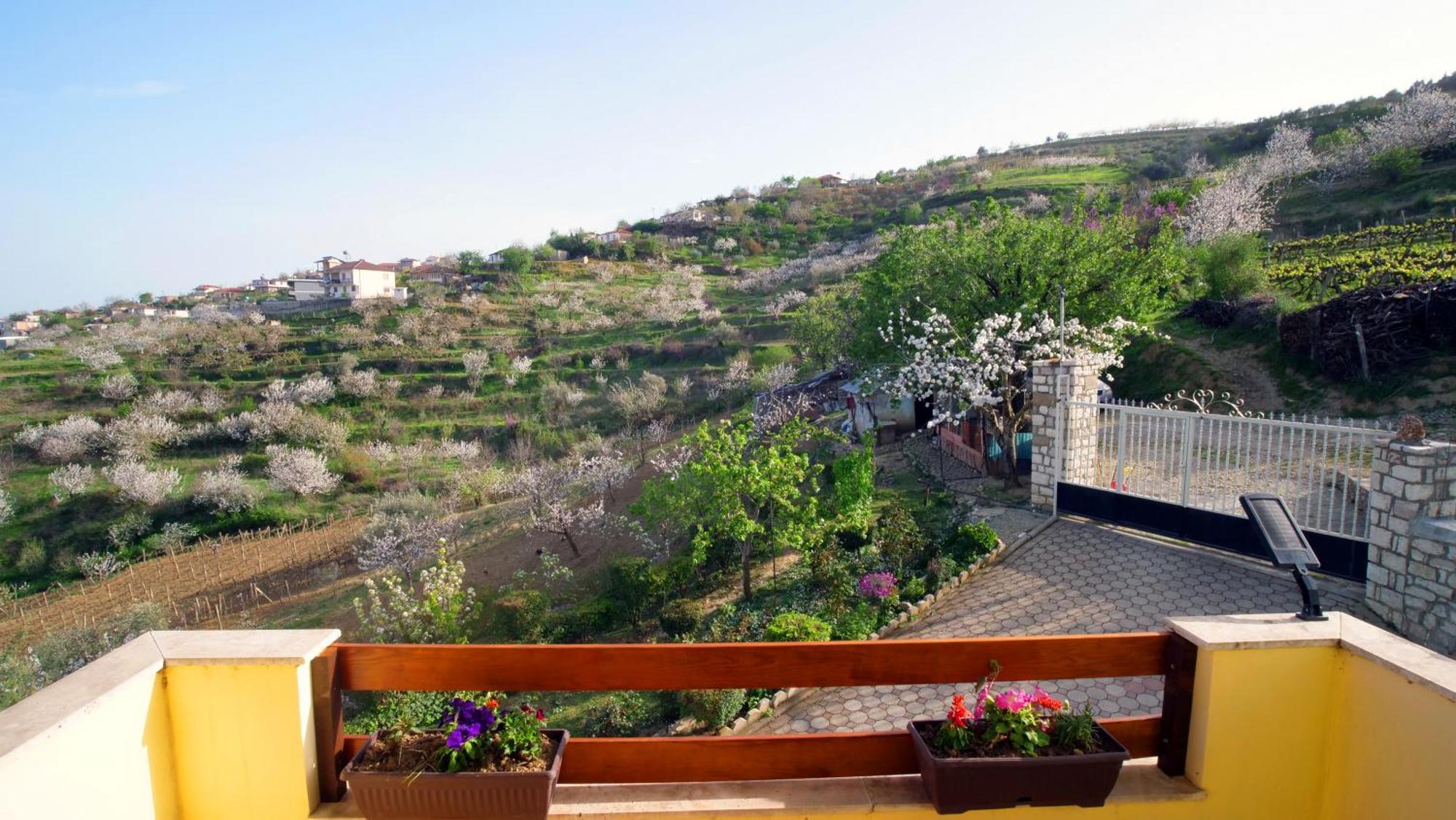 Vila Dean Berat Bagian luar foto