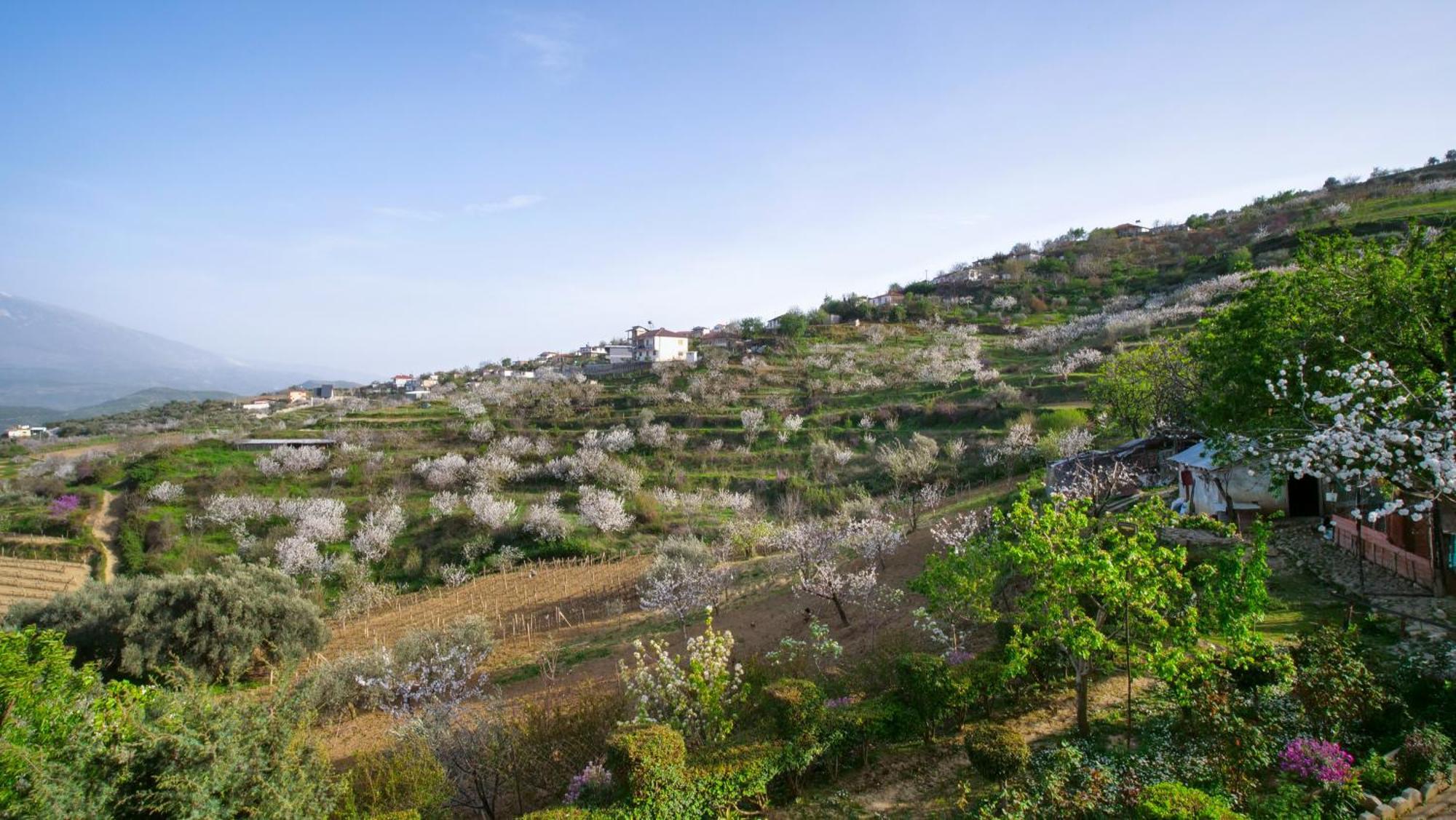 Vila Dean Berat Bagian luar foto