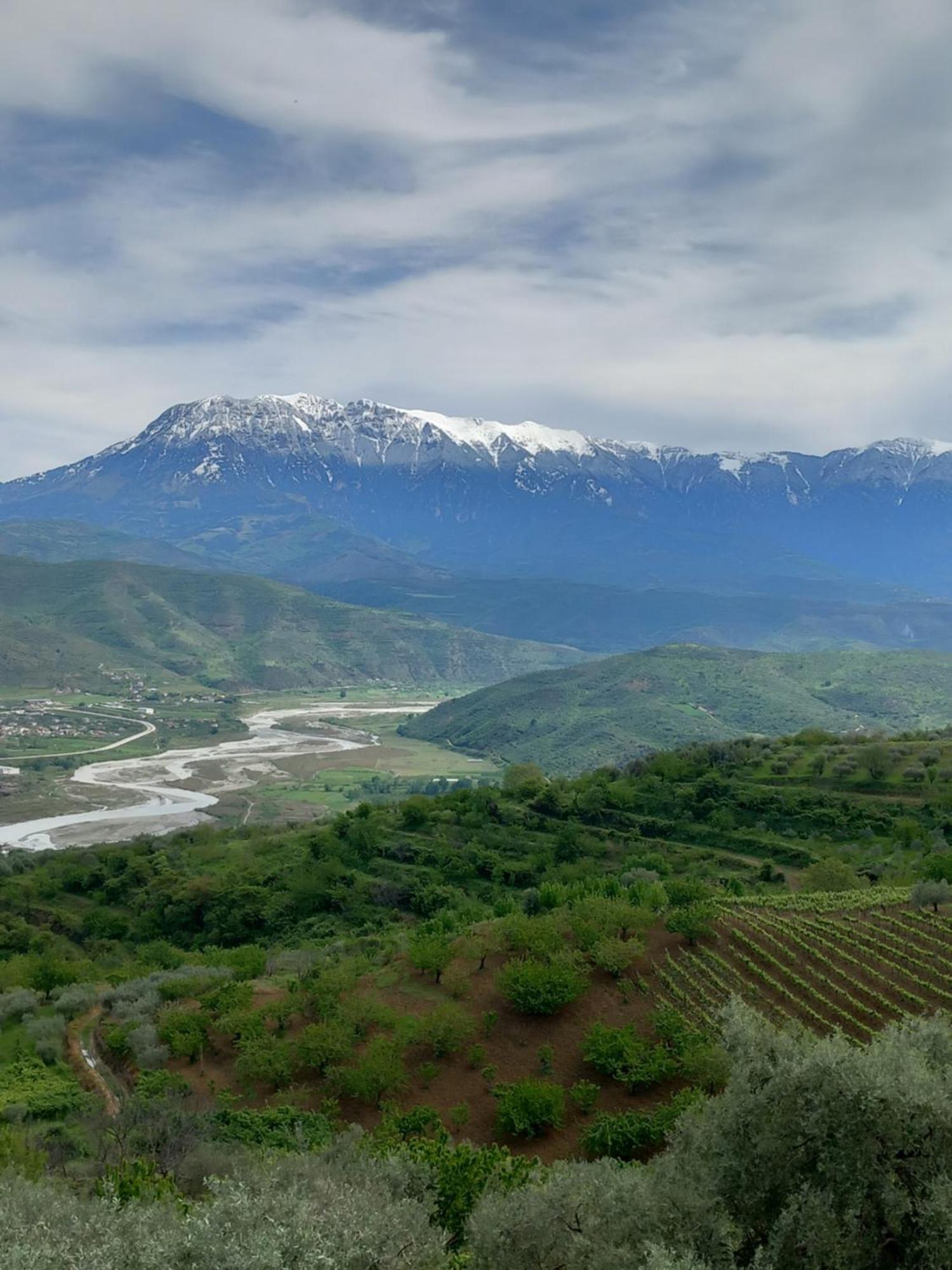 Vila Dean Berat Bagian luar foto