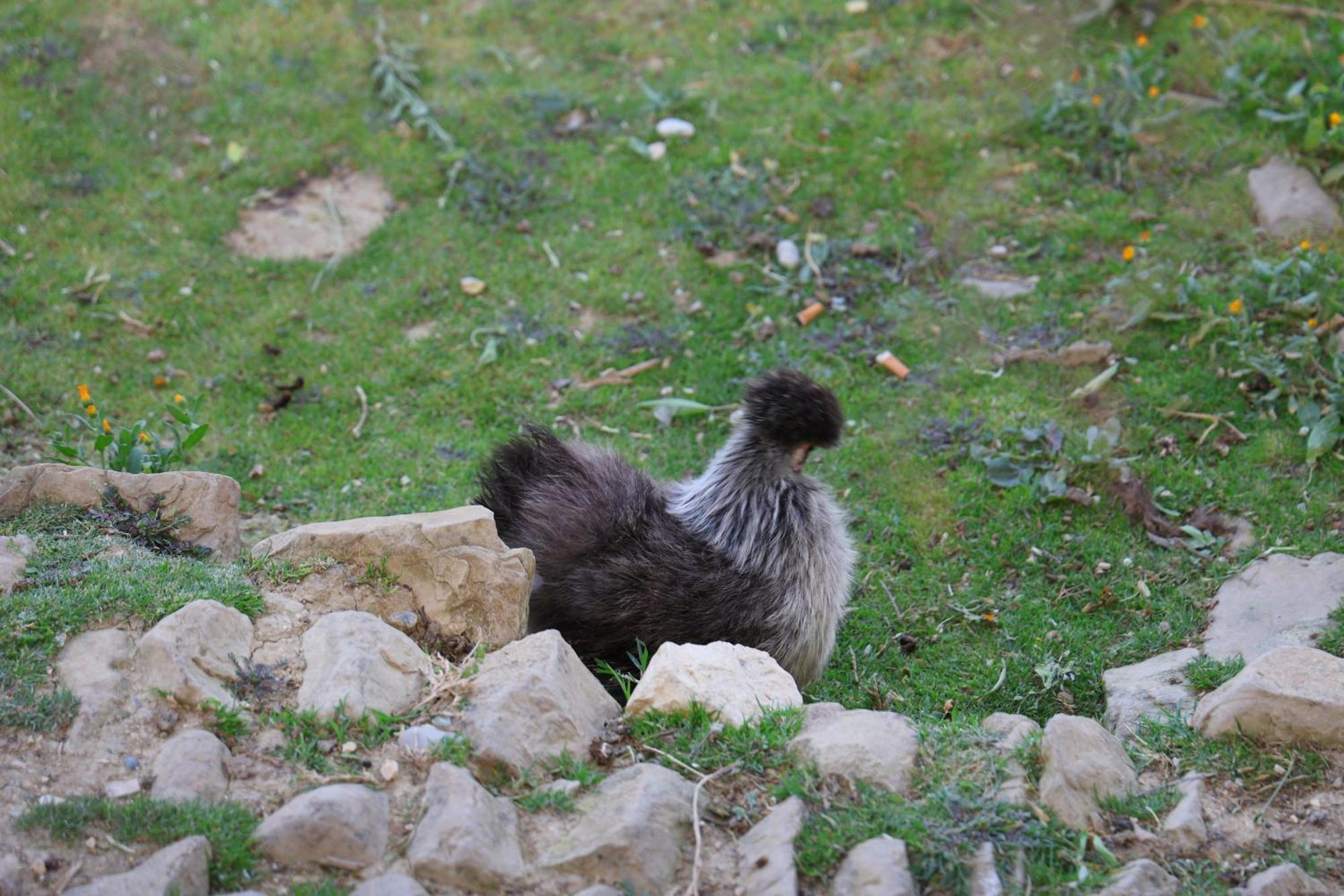 Vila Dean Berat Bagian luar foto