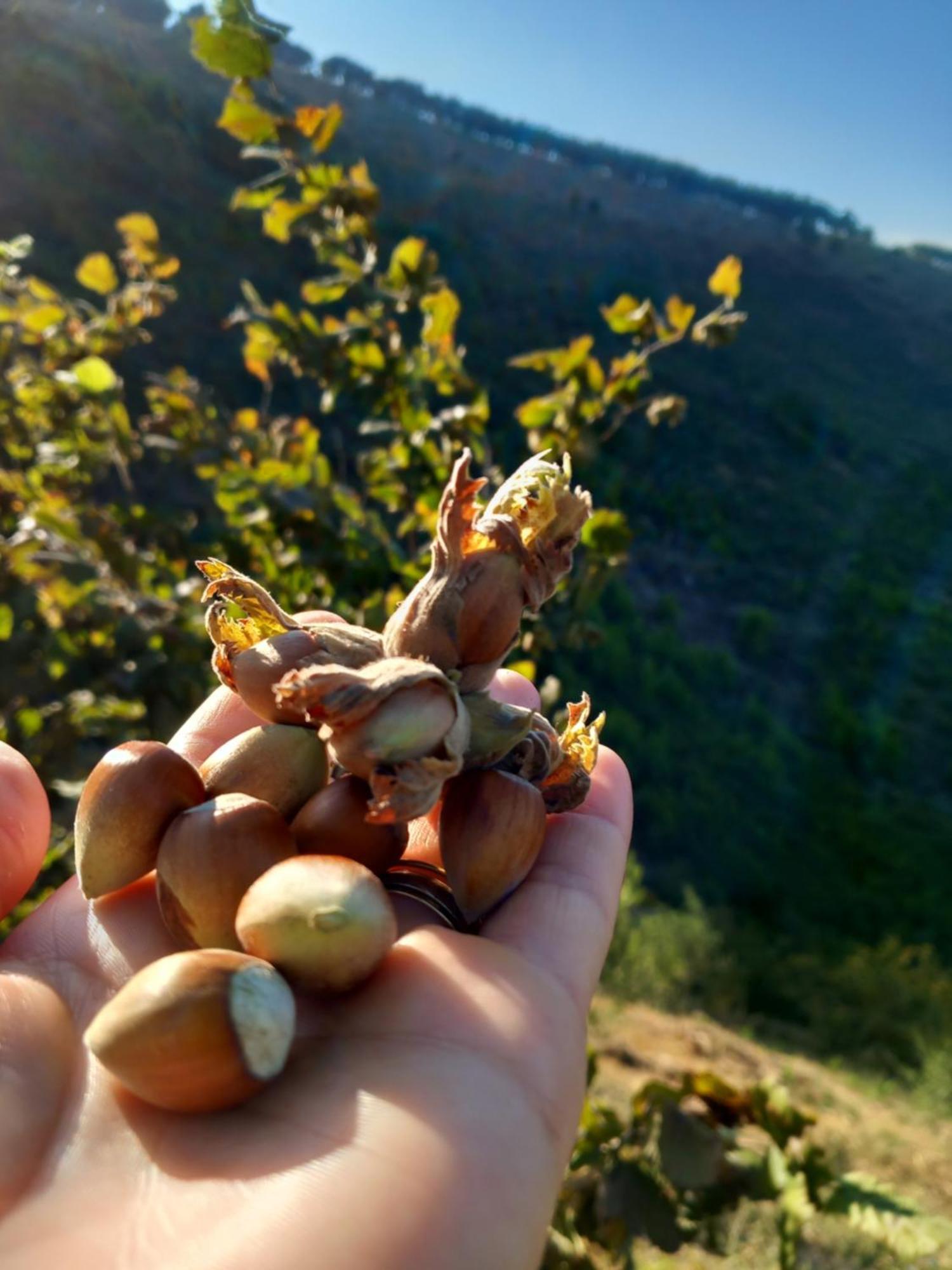 Vila Dean Berat Bagian luar foto